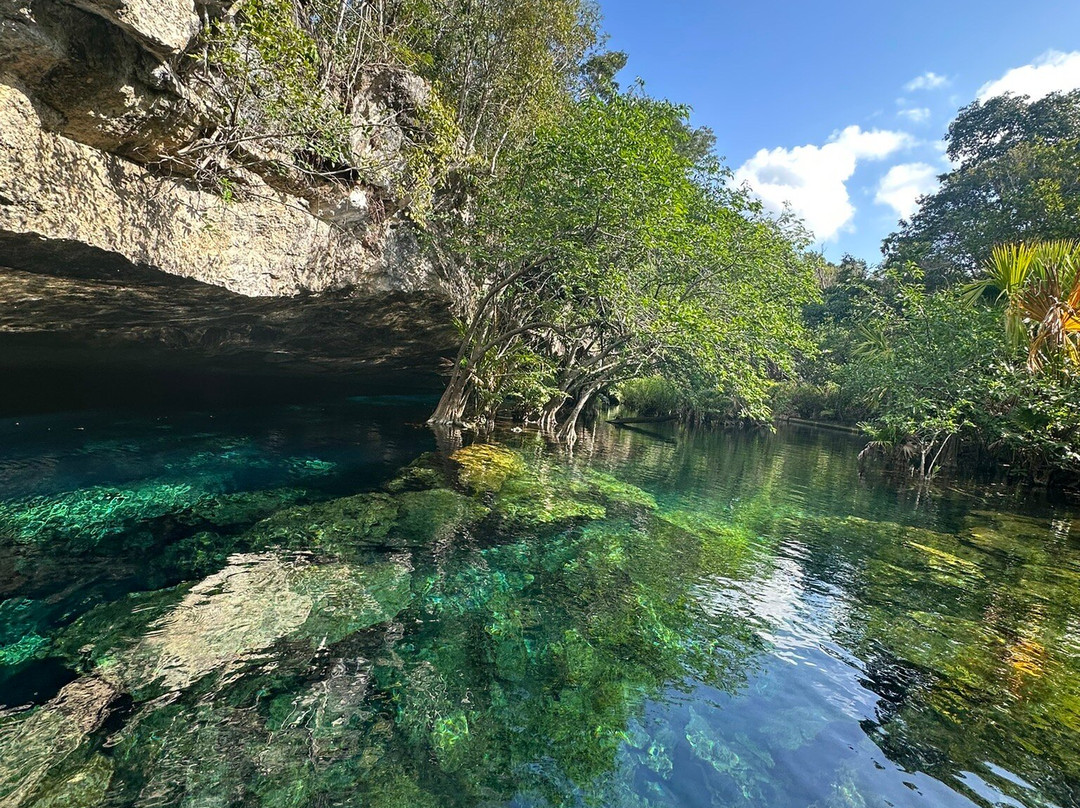 Buceo Xtabay-从莫雷洛斯港必去景点