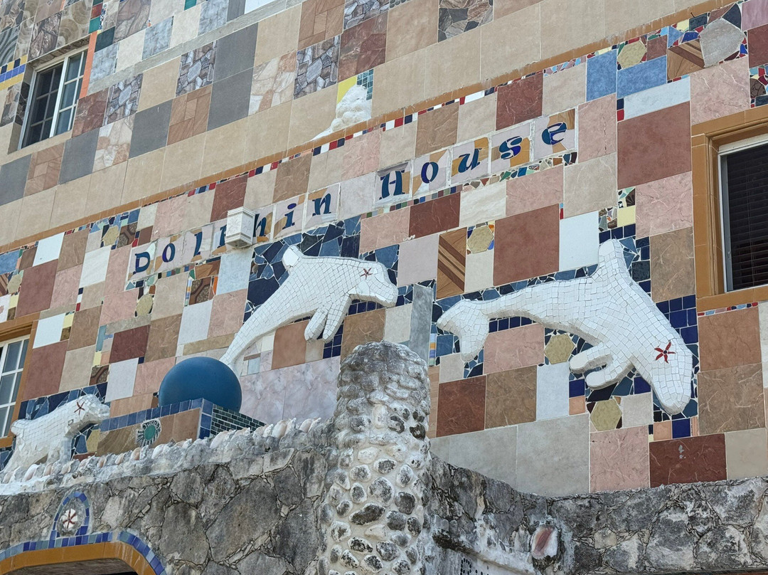 Dolphin House Museum景点图片