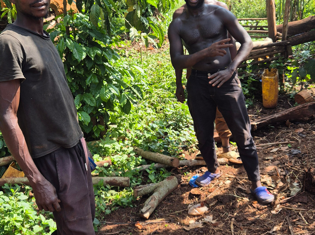 Jinja Bike Tours And Safaris景点图片