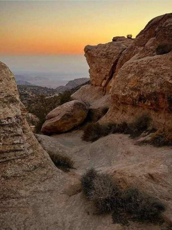 Dana Rose tours-Dana必去景点