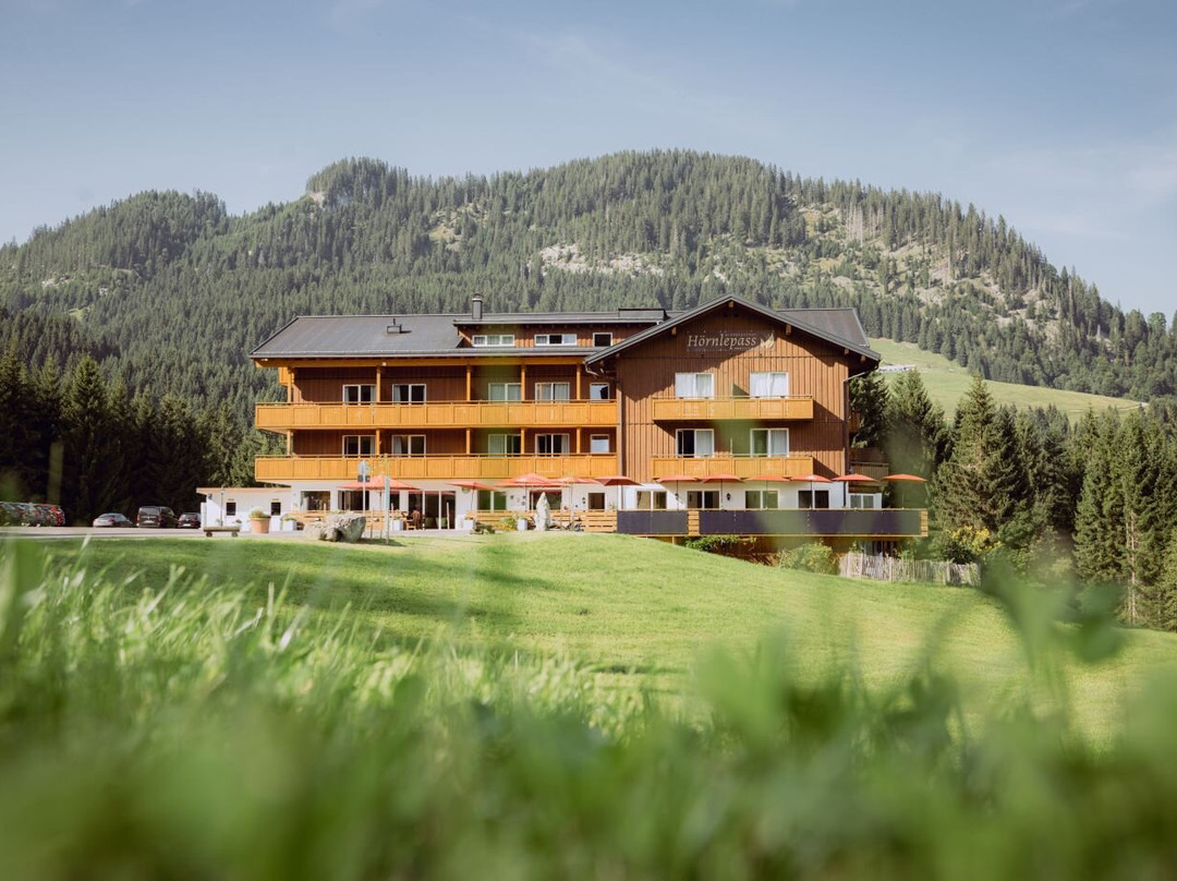 赫伊兹棱酒店住宿-Alpengasthof Hörnlepass