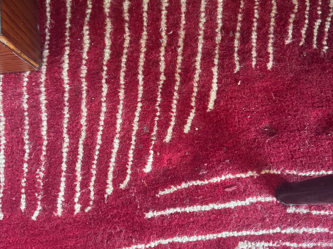 Regenta Place Phagwara主图