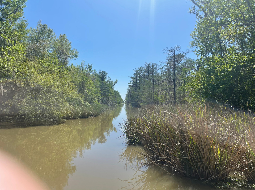 Cajun Man's Swamp Tours & Adventures-Gibson必去景点