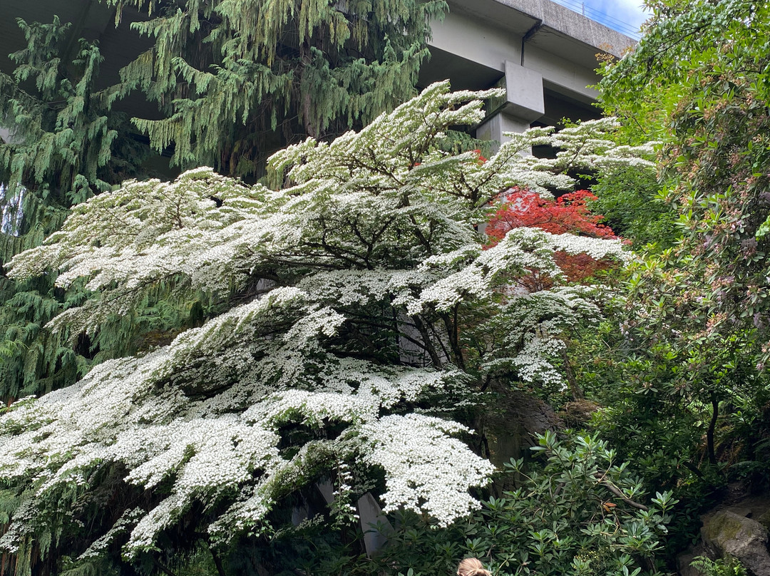 Tumwater Falls Park-塔姆沃特必去景点