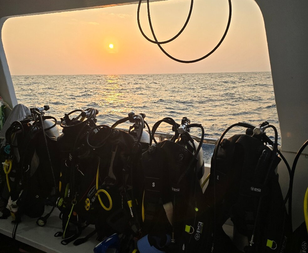 A-one Diving景点图片