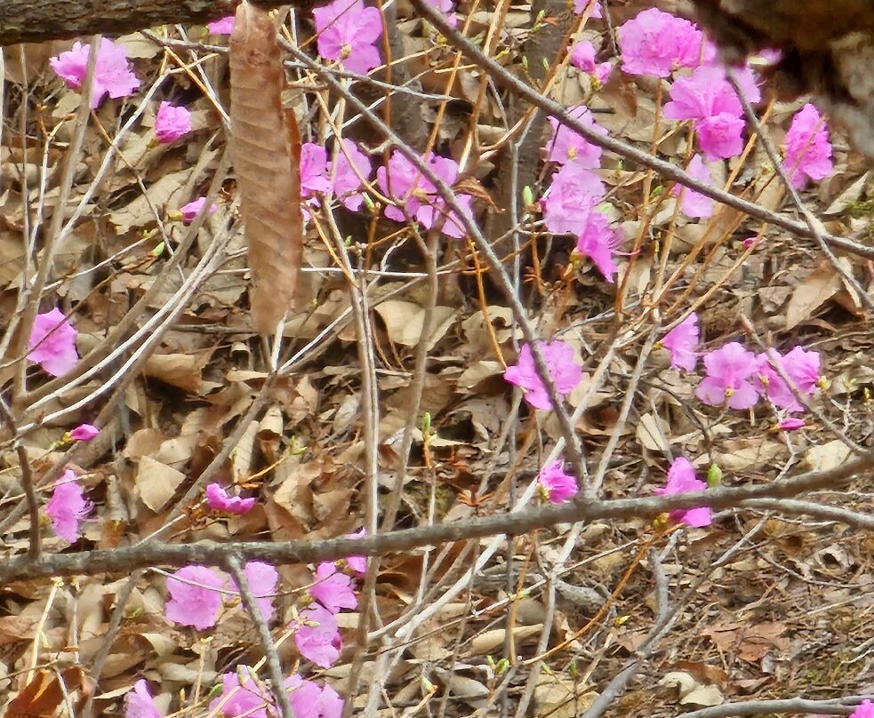 Goguryeo Blacksmith Town-九里市必去景点