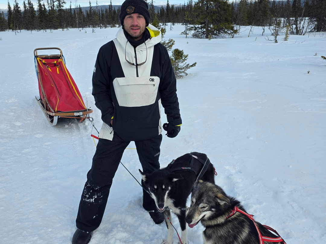 Petter Karlsson Sleddogs景点图片