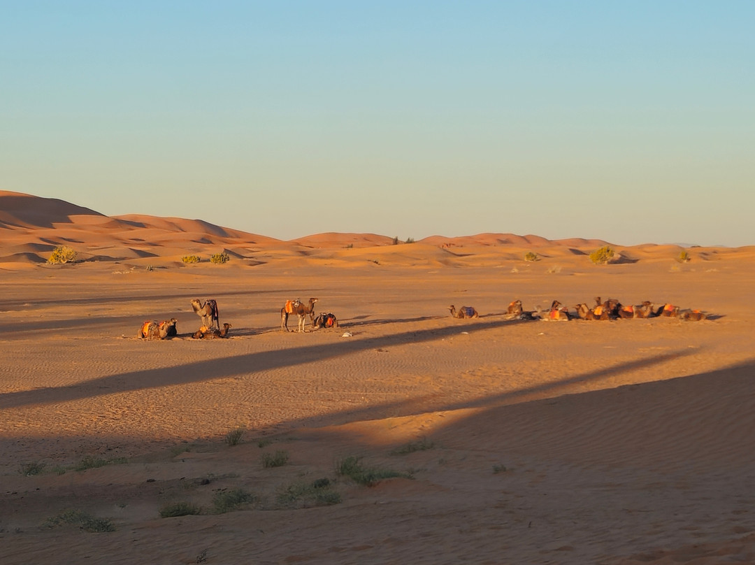 Uniquely Morocco-Bhalil必去景点