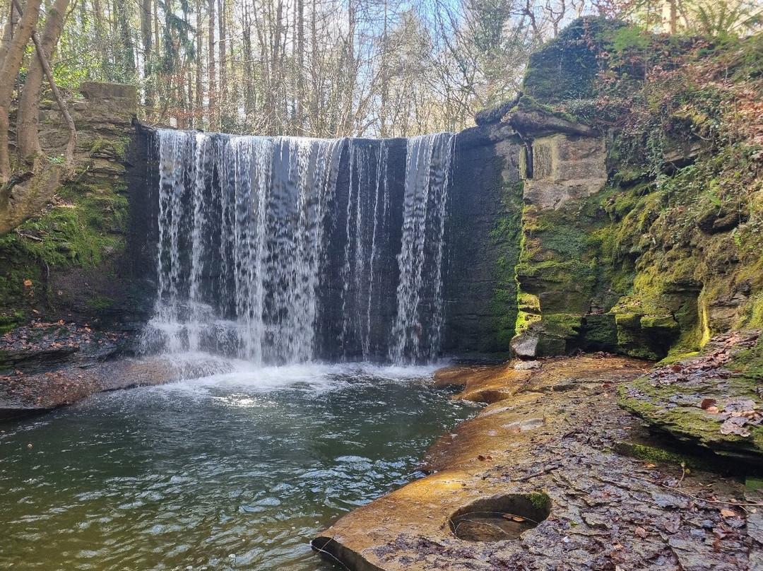Nant Mill Country Park景点图片