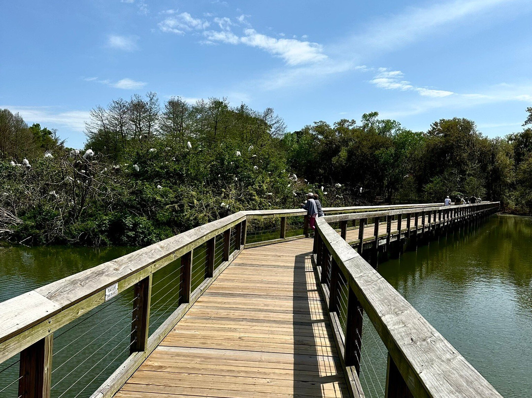 Cypress Wetlands-Port Royal必去景点