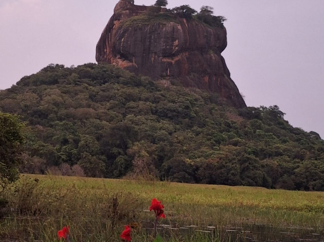 Rent A Tour Guide In Sri Lanka景点图片