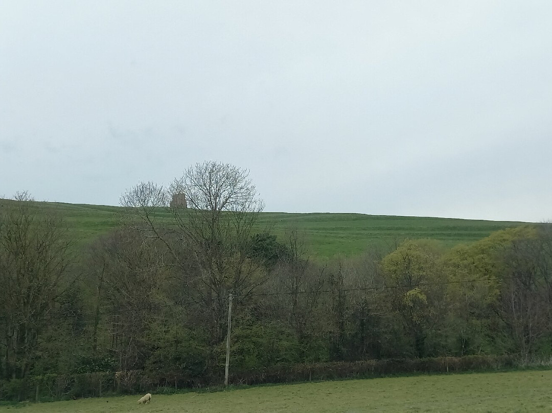 Abbotsbury Swannery景点图片
