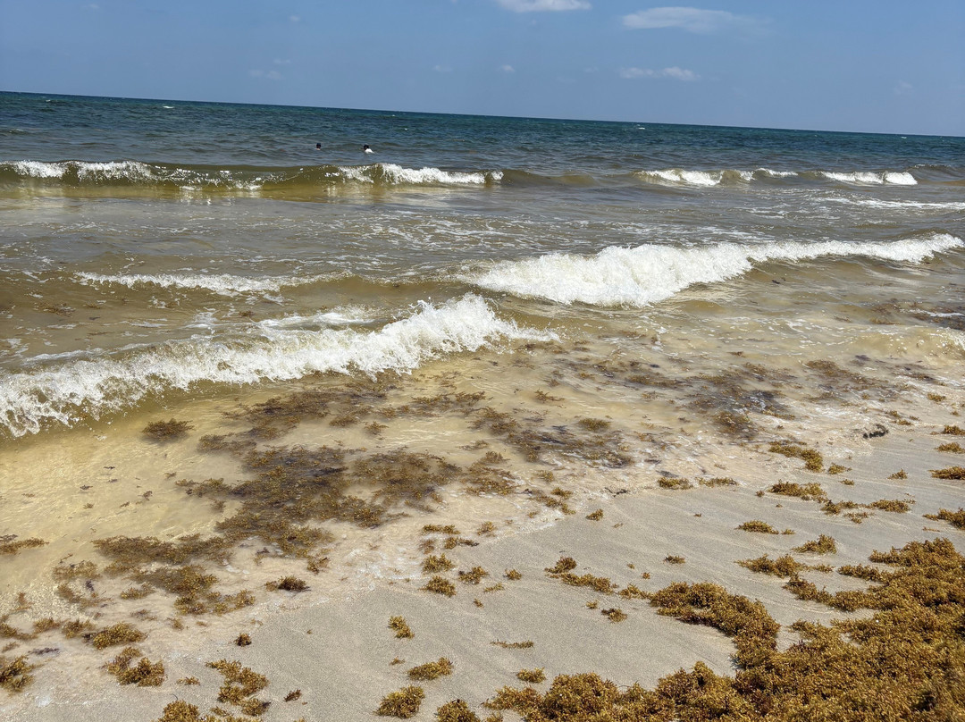 Hayhu Beach Experience景点图片