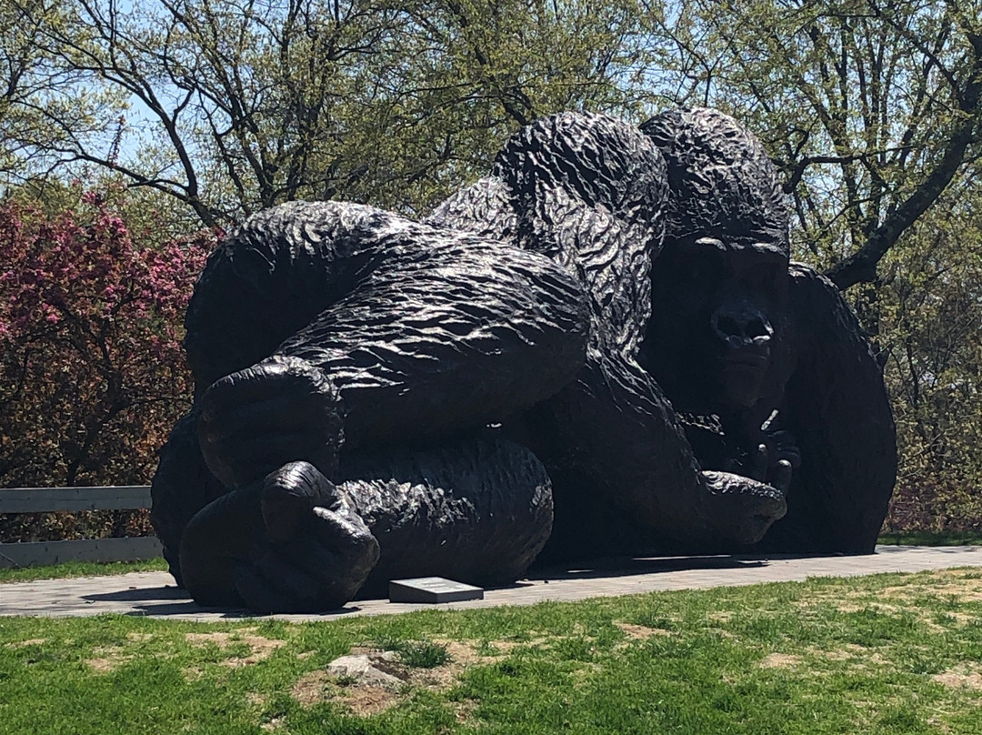 Bruce Museum-格林尼治必去景点