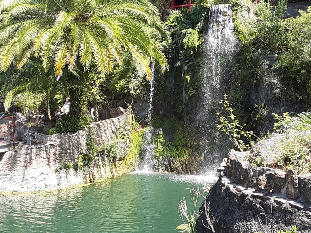 Cedar Lakes Woods & Gardens景点图片