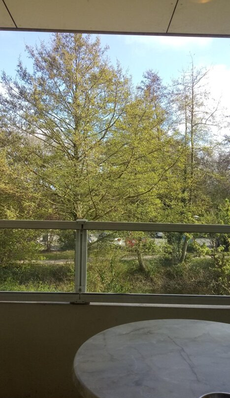 Fletcher Strandhotel Renesse主图