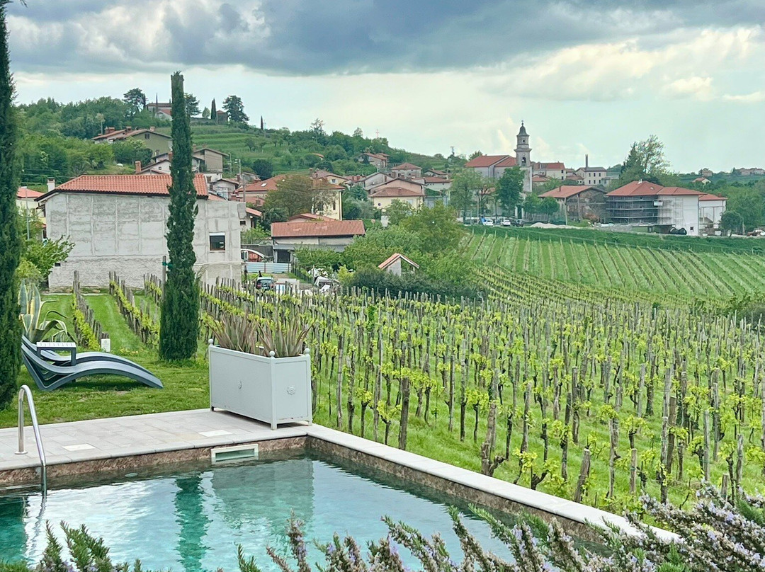 Peterc Vineyard Estate-Kojsko必去景点