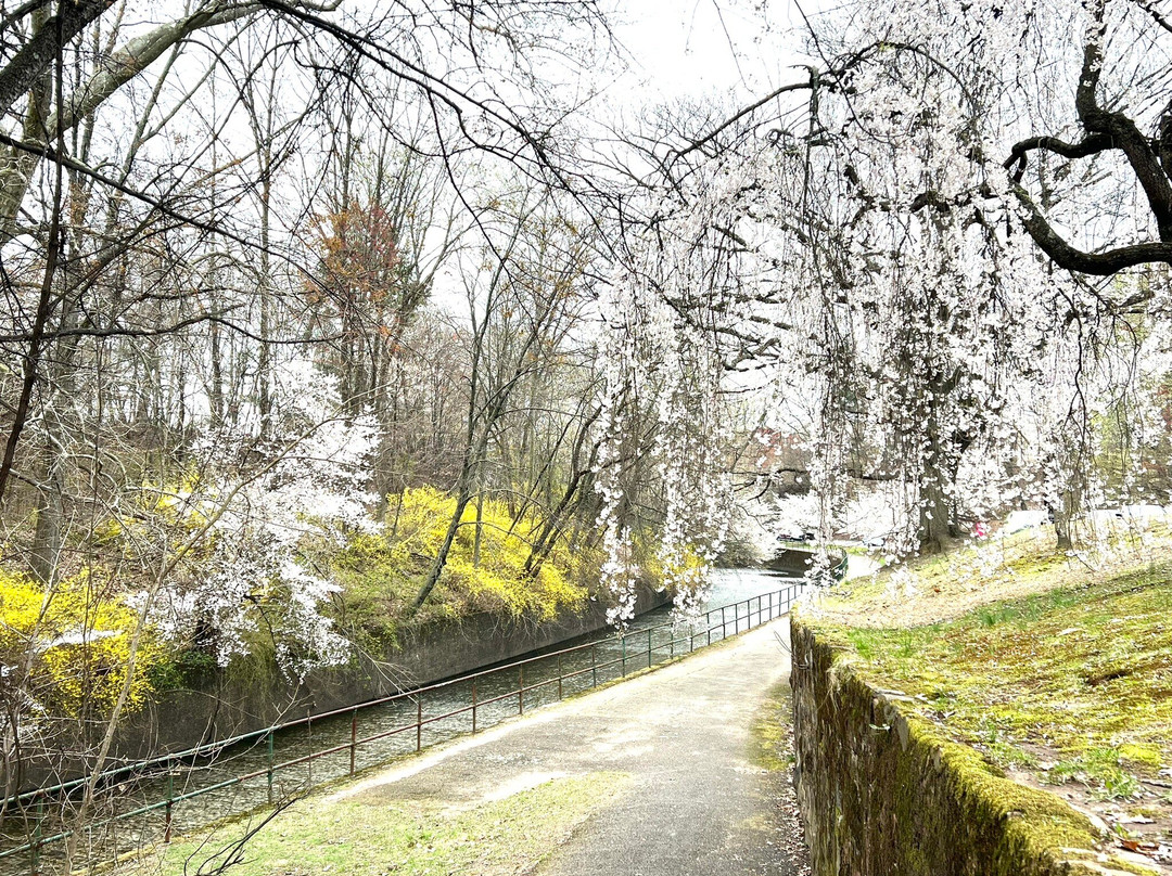 Branch Brook Park景点图片