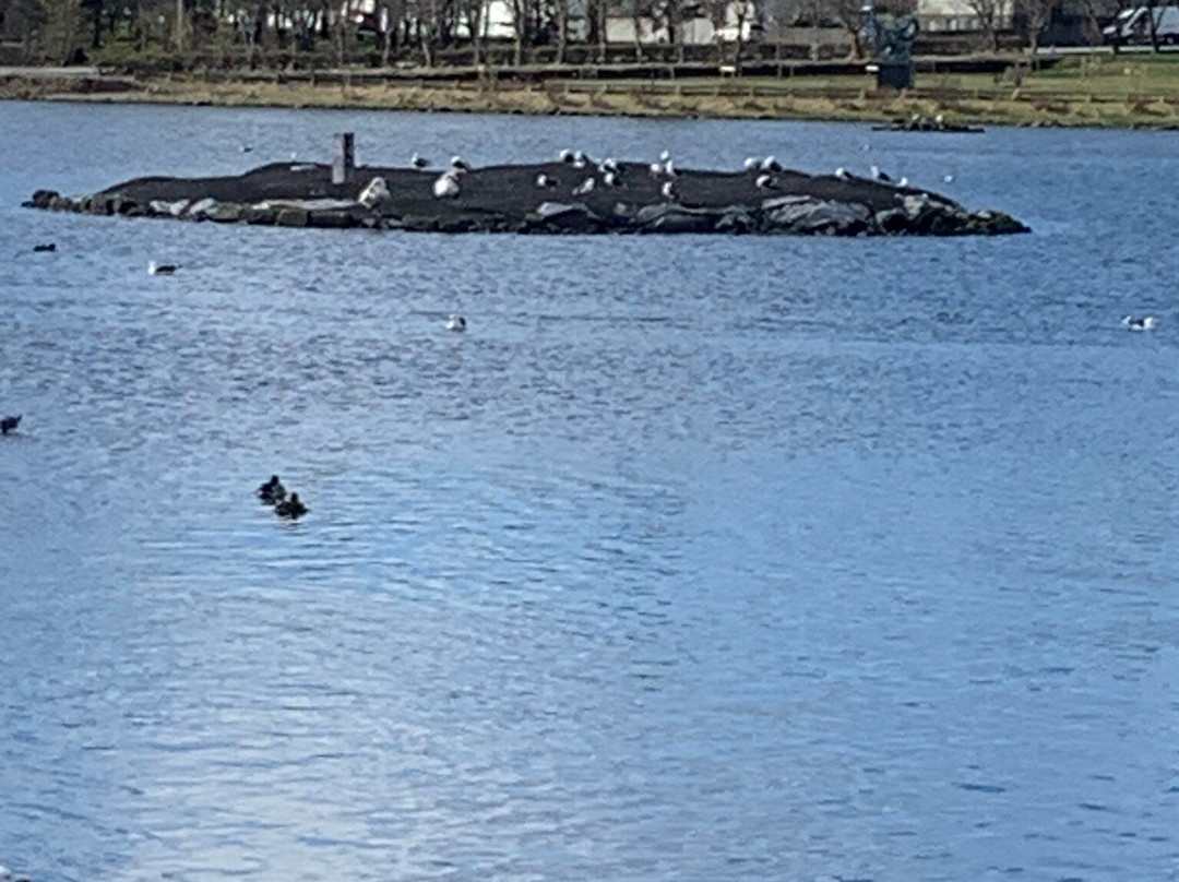 Lake Tjornin-雷克雅未克必去景点