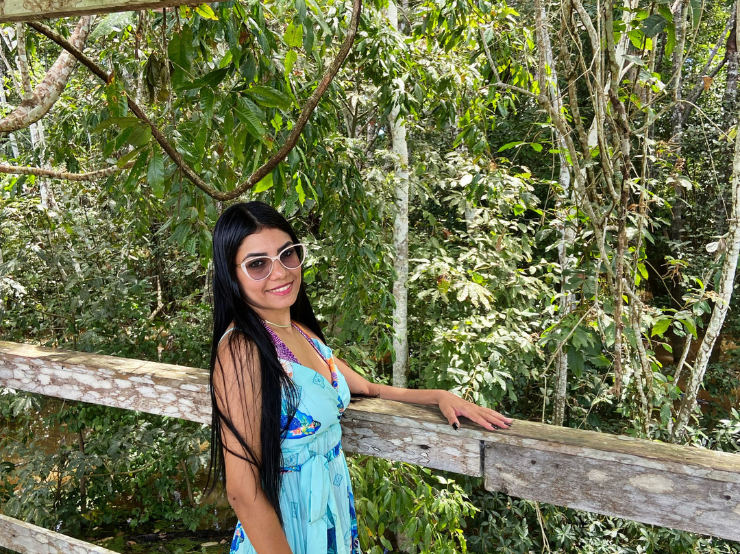 Receptivos Manaus-玛瑙斯必去景点