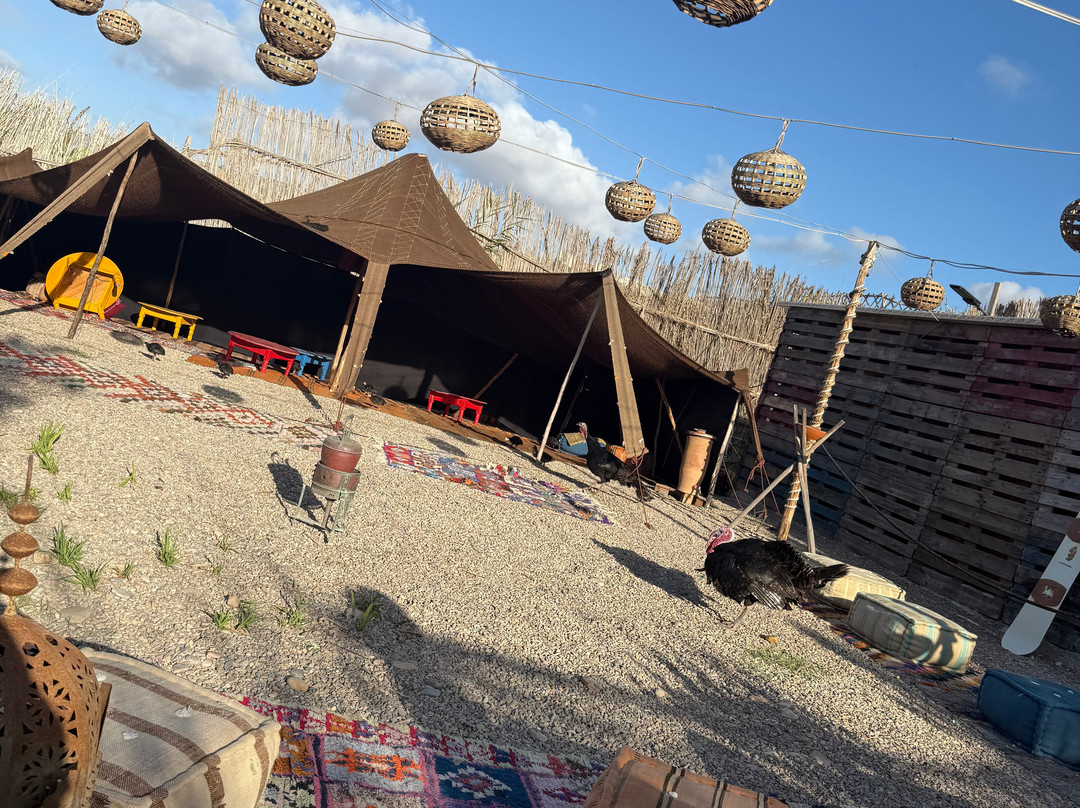 Ranch Tamri-阿加迪尔必去景点