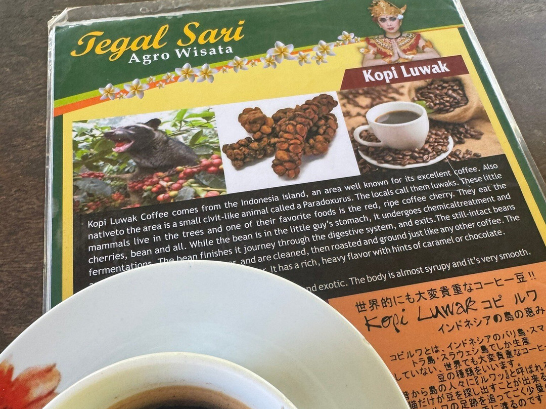 Tegal Sari Bali Coffee景点图片