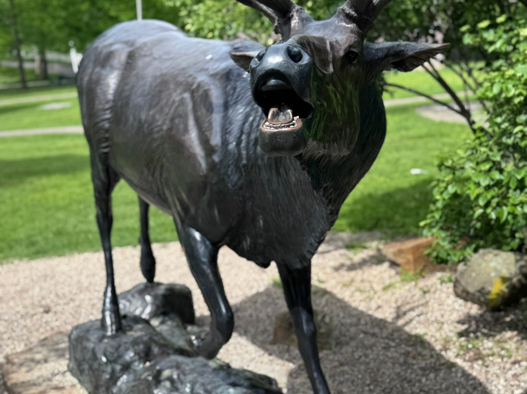 Salato Wildlife Education Center-法兰克福必去景点