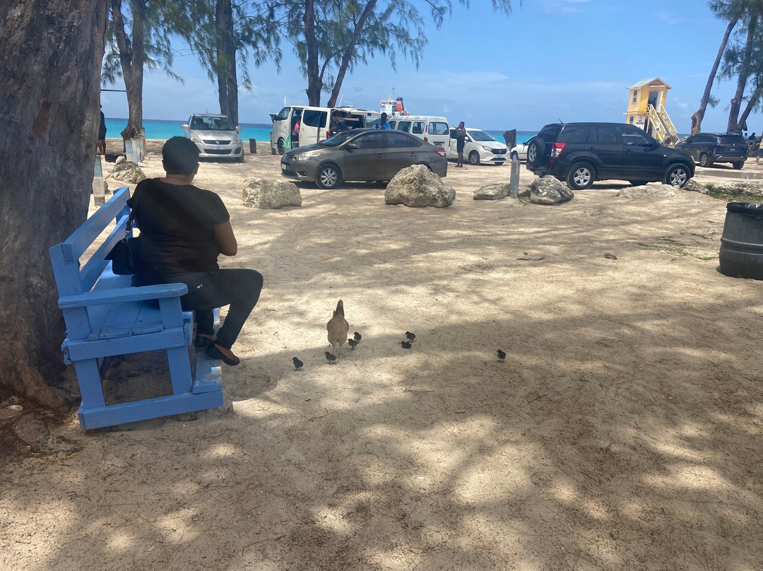 Miami Beach Barbados-奥伊斯廷斯必去景点