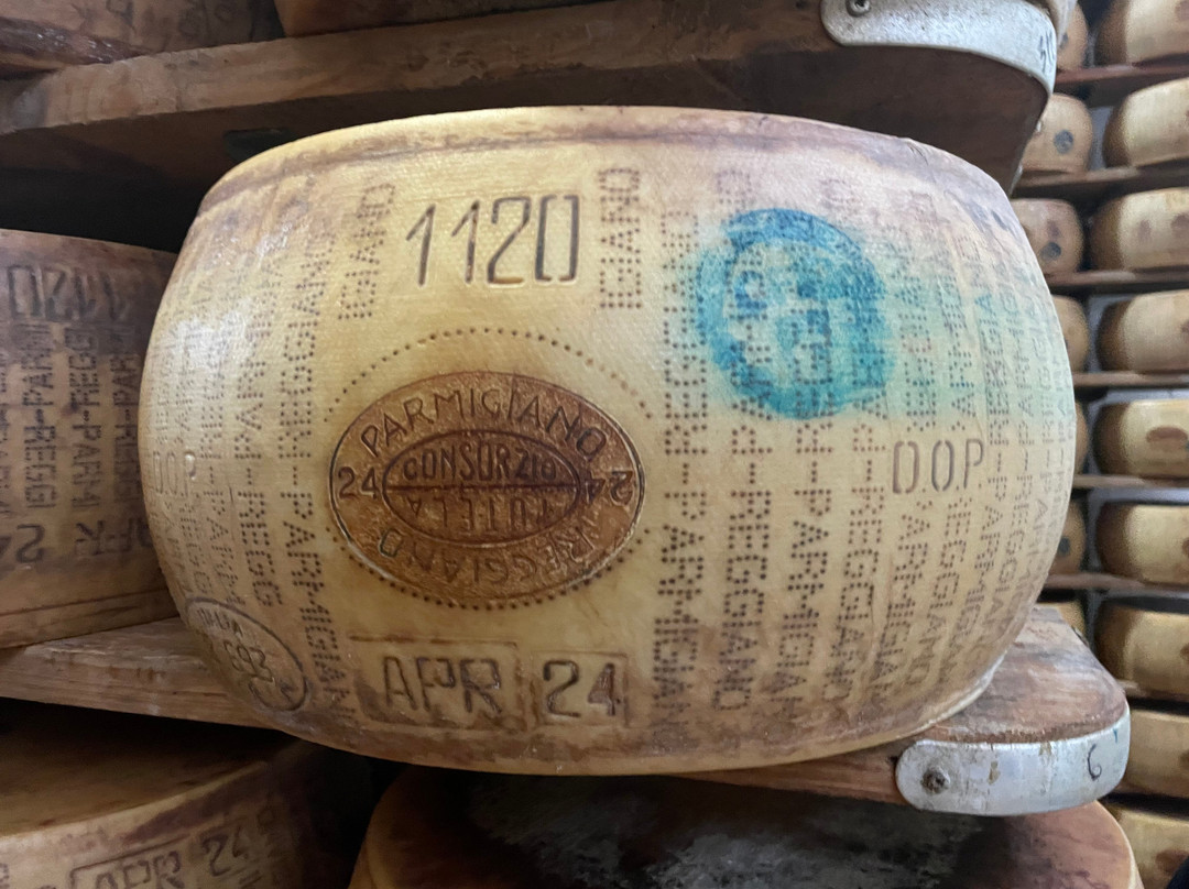 Azienda Agricola Moscattini景点图片