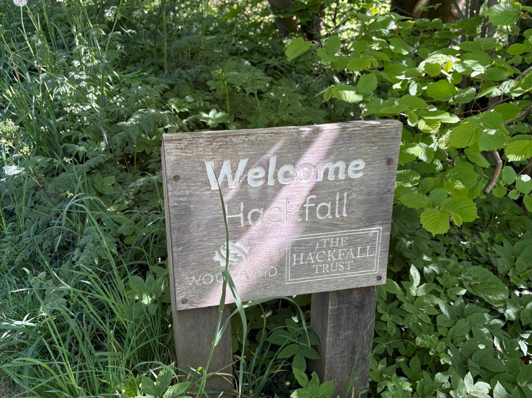 Hackfall Wood-里彭必去景点