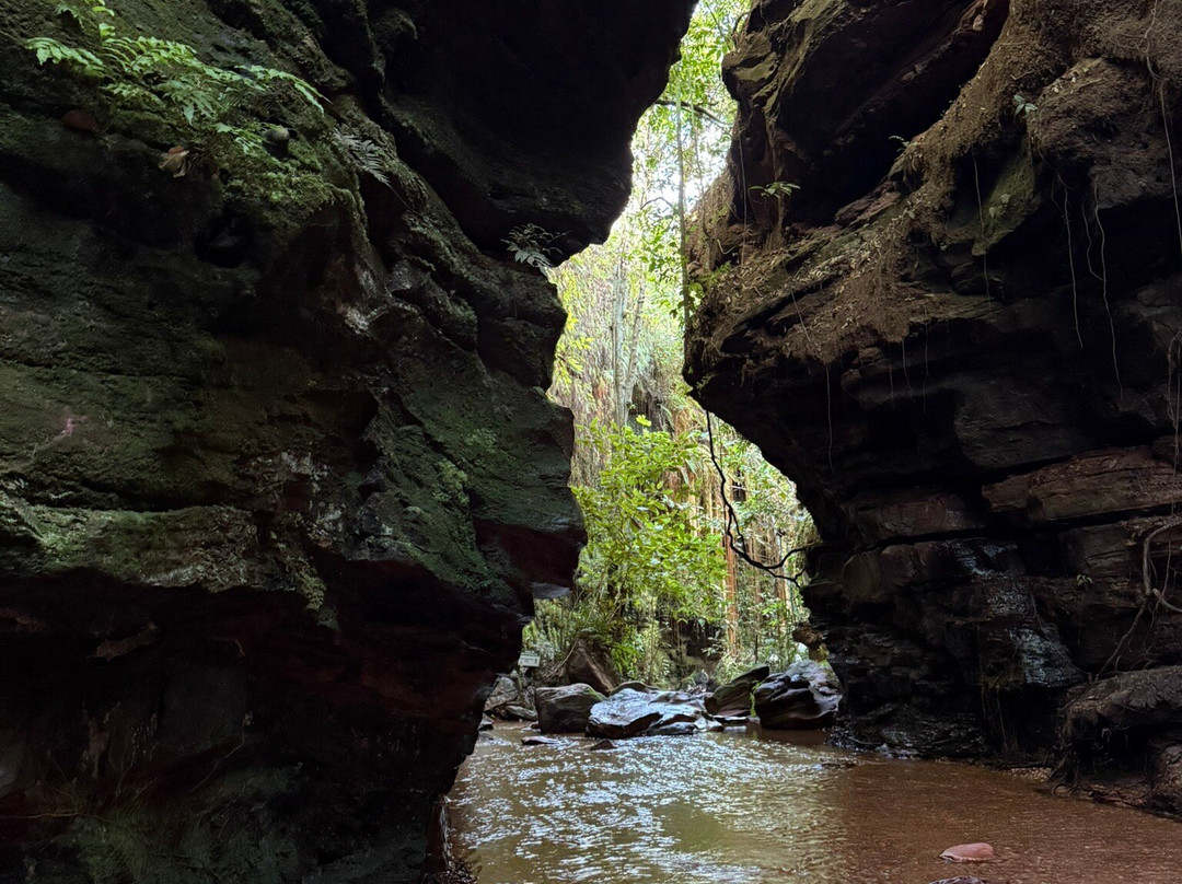 Jalapao Turismo-Jalapao State Park必去景点