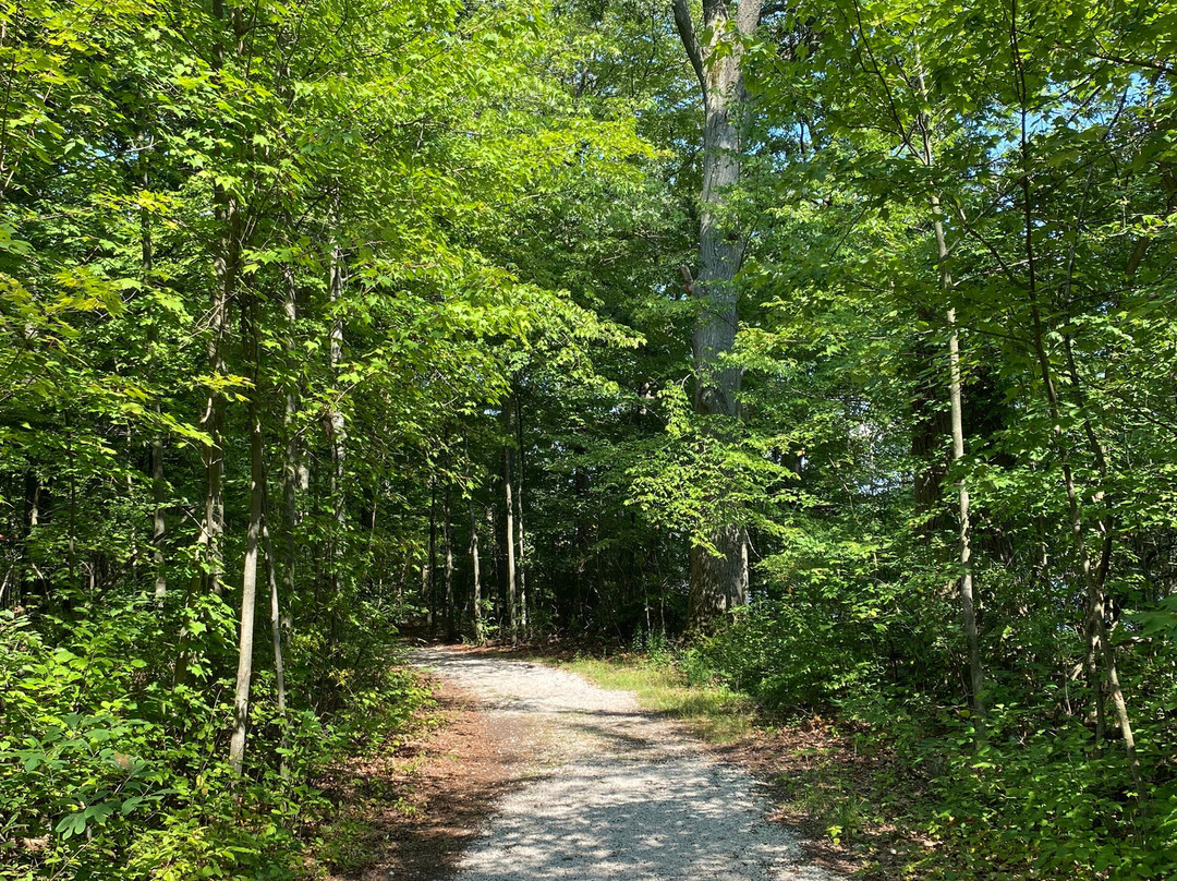 Portage Lakes State Park-阿克伦必去景点