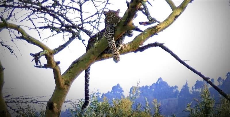 Oserengoni Wildlife Sanctuary-奈瓦夏必去景点