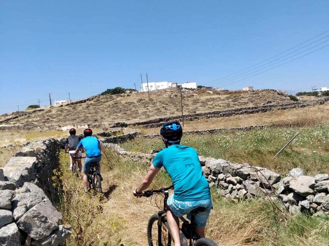 Yummy Pedals - Cycling & Hiking Tours景点图片