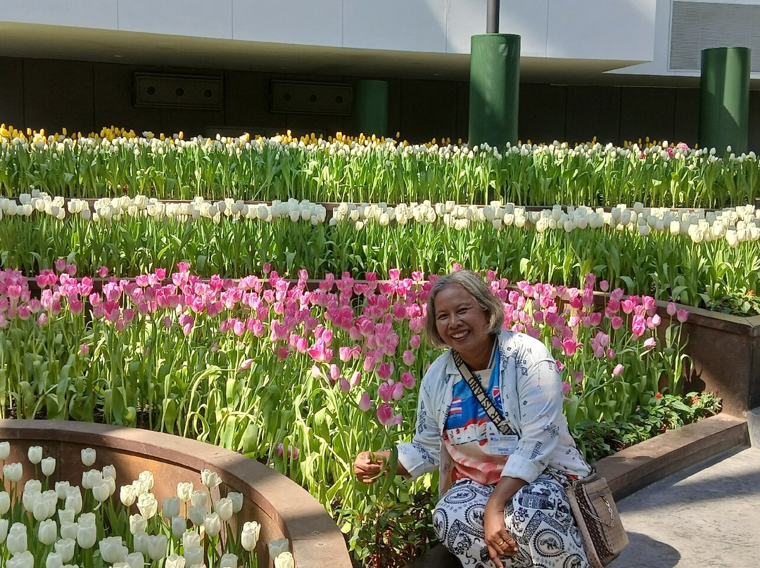 Miracle of Natural-罗勇必去景点