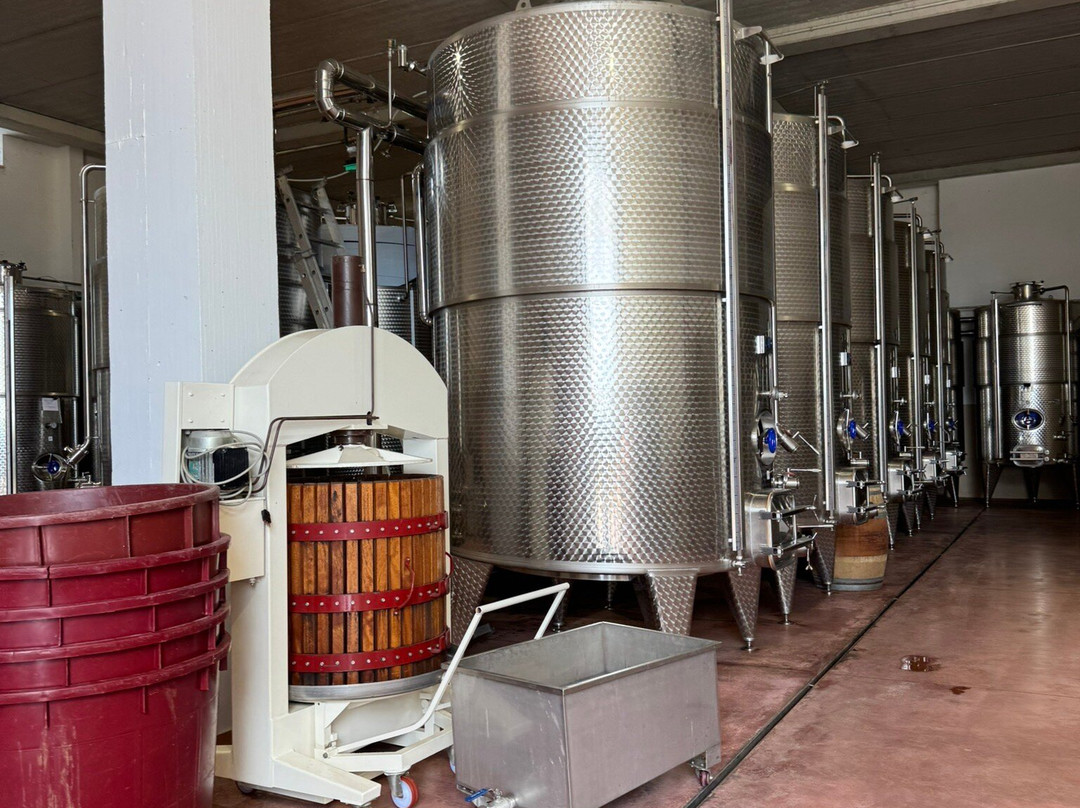 Cantina Masseria Torricella景点图片