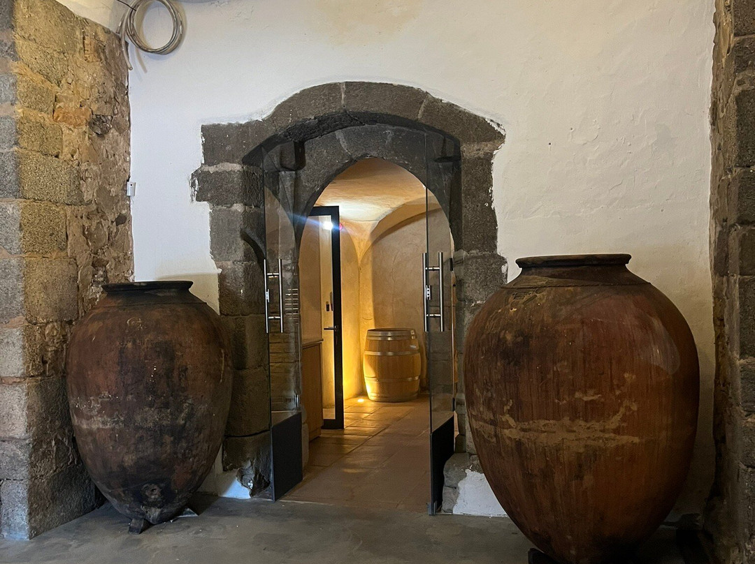 Fitapreta Vinhos-埃武拉必去景点