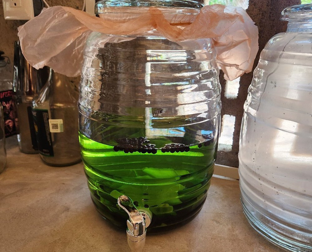 Solferino Native Destilería-Solferino必去景点