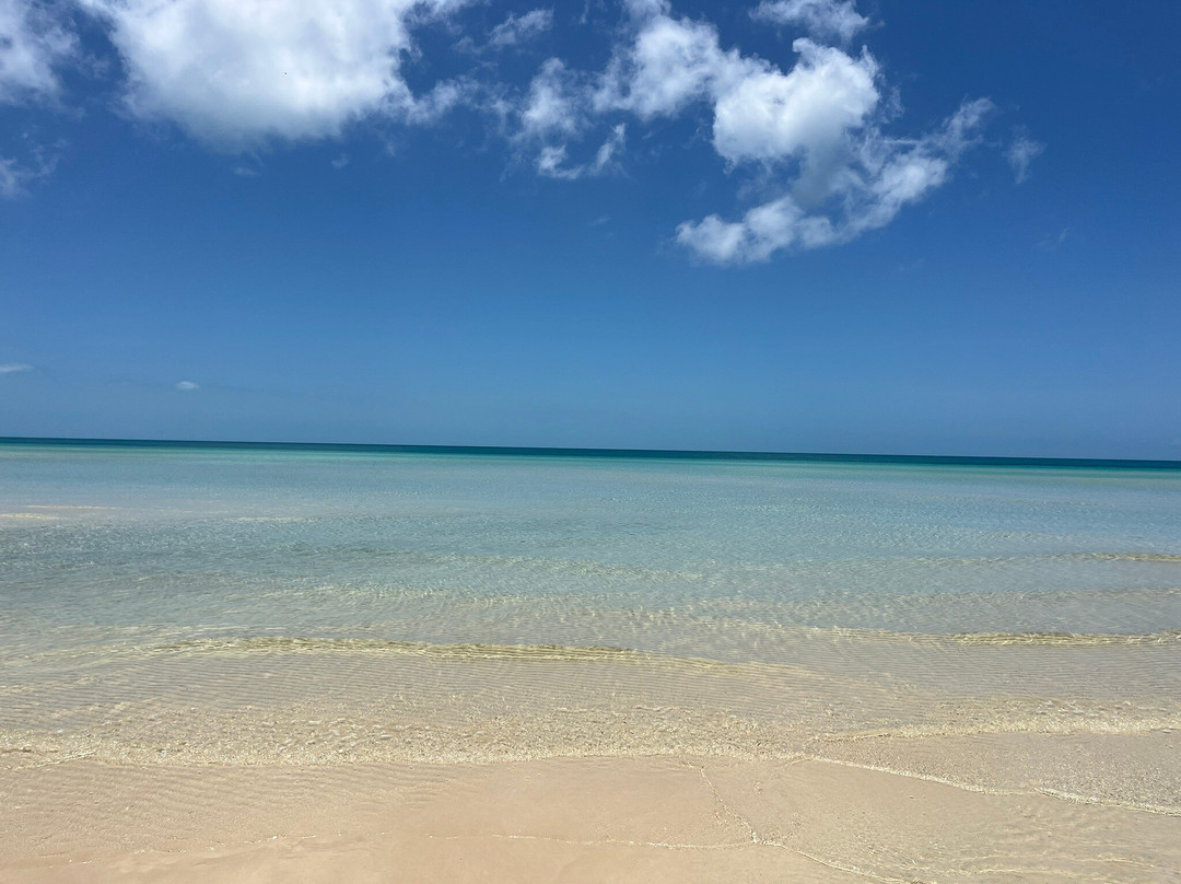 Fishbone Tours-伊柳塞拉必去景点