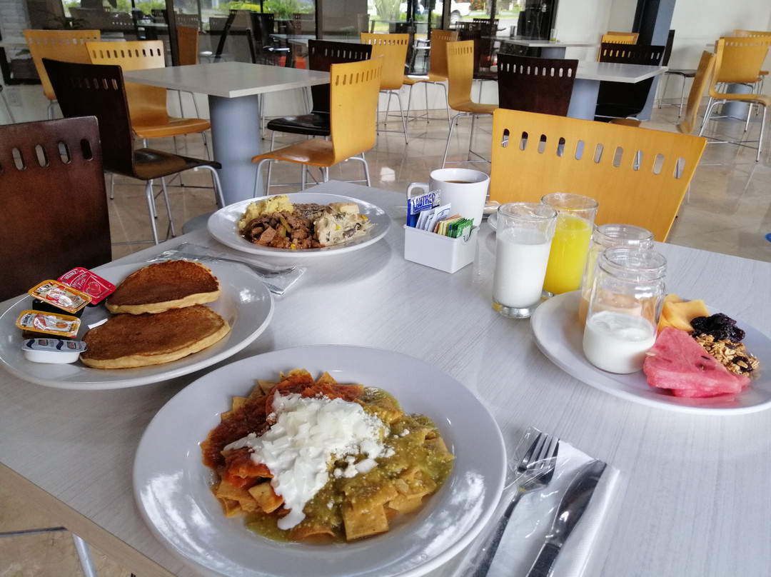 Wyndham Garden Guadalajara Expo主图