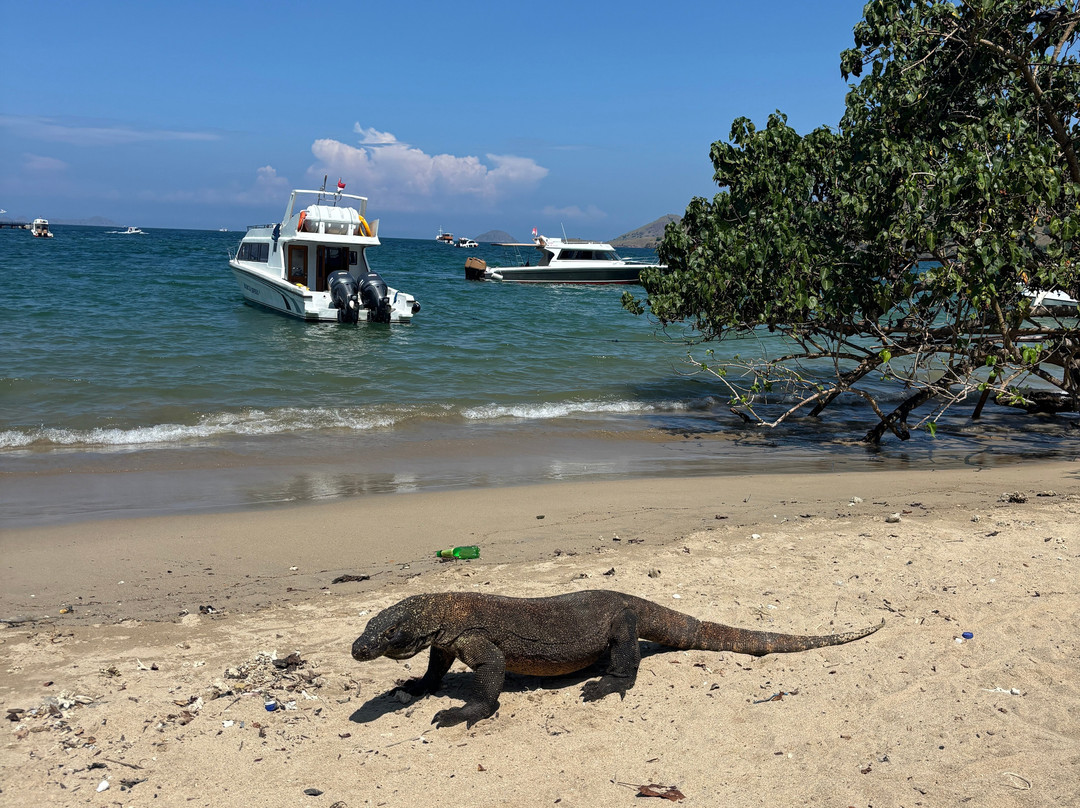 AYANA Cruises-Labuan Bajo必去景点