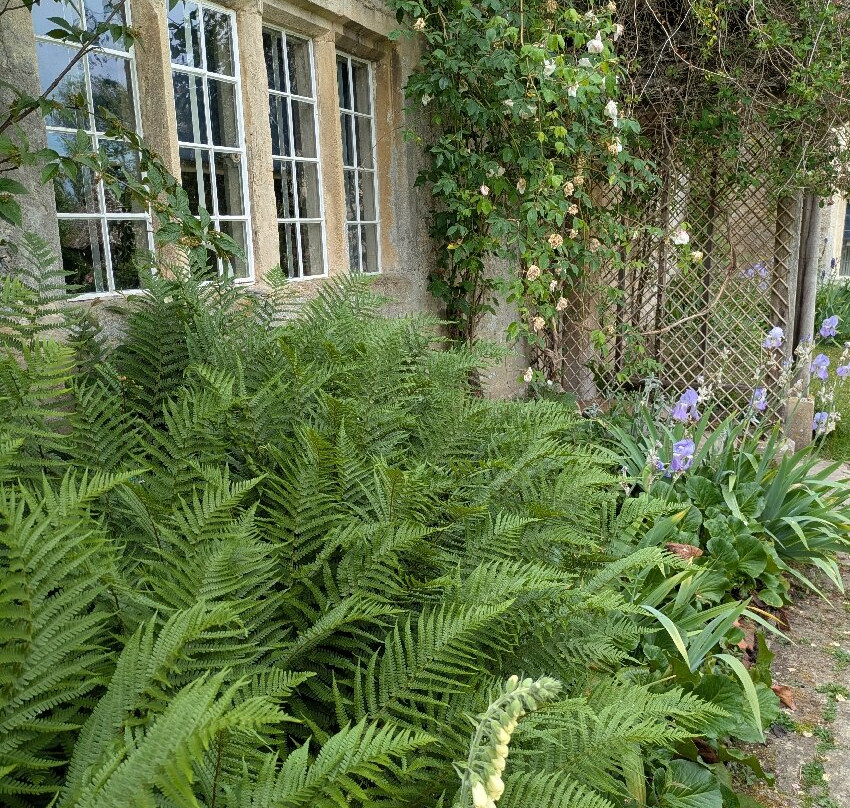 Kelmscott Manor景点图片