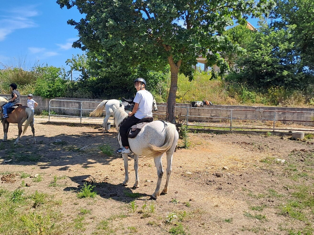 Horse Trekking Sicily景点图片