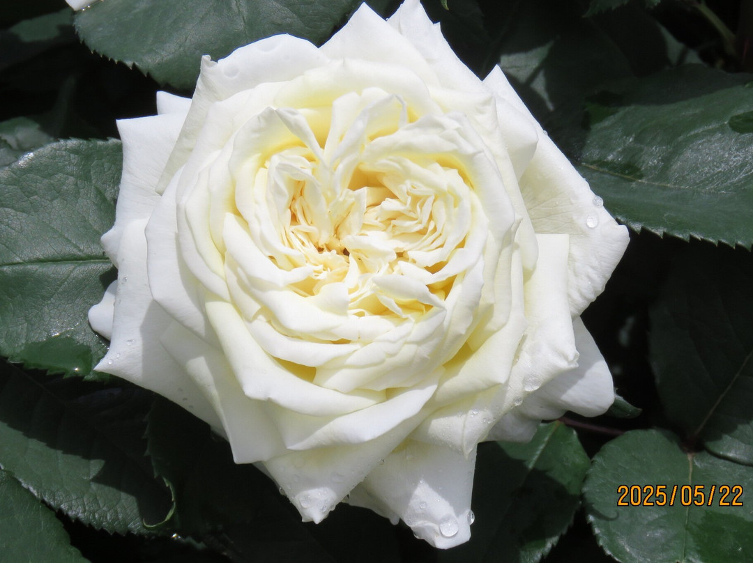 Biwako Otsukan-大津市必去景点