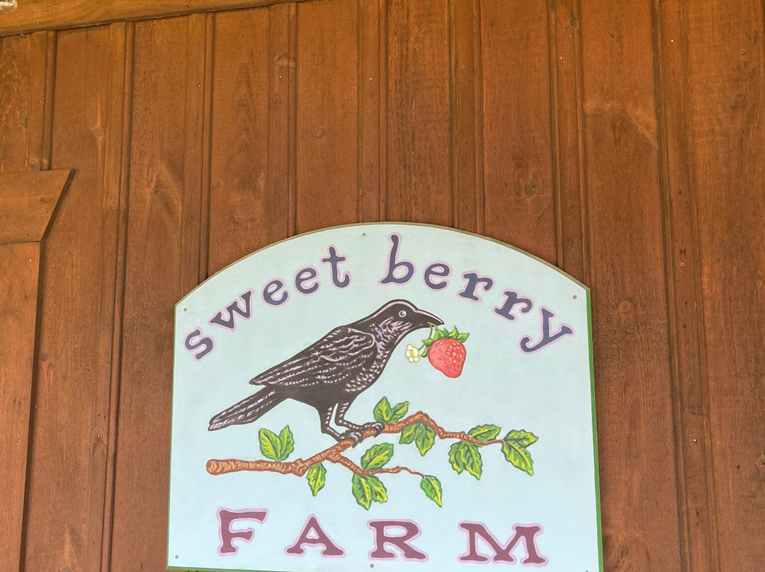 Sweet Berry Farm-米德尔敦必去景点