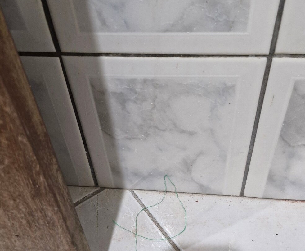 Paragominas Palace Hotel主图