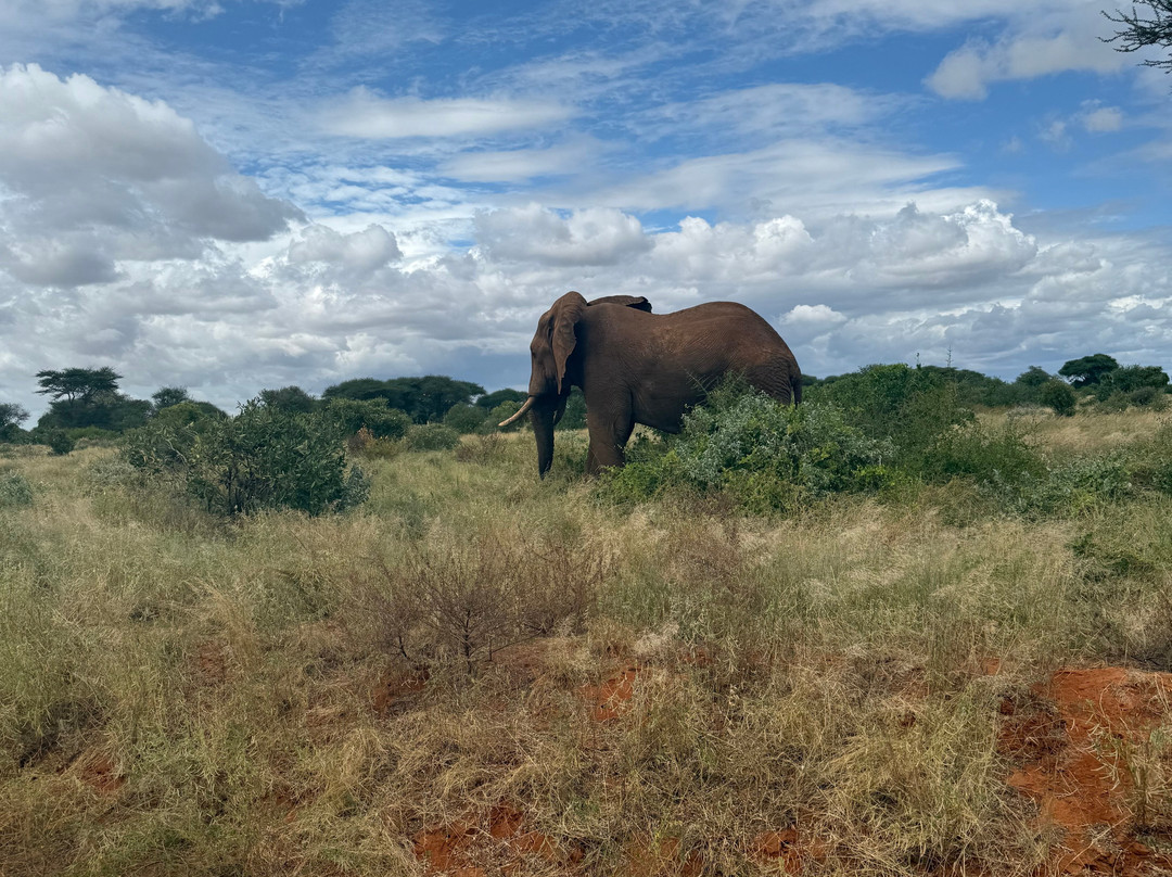 Royal Star Expeditions-内罗毕必去景点