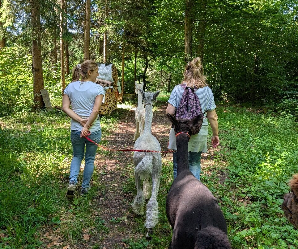 Alpaka Garten-Windach必去景点