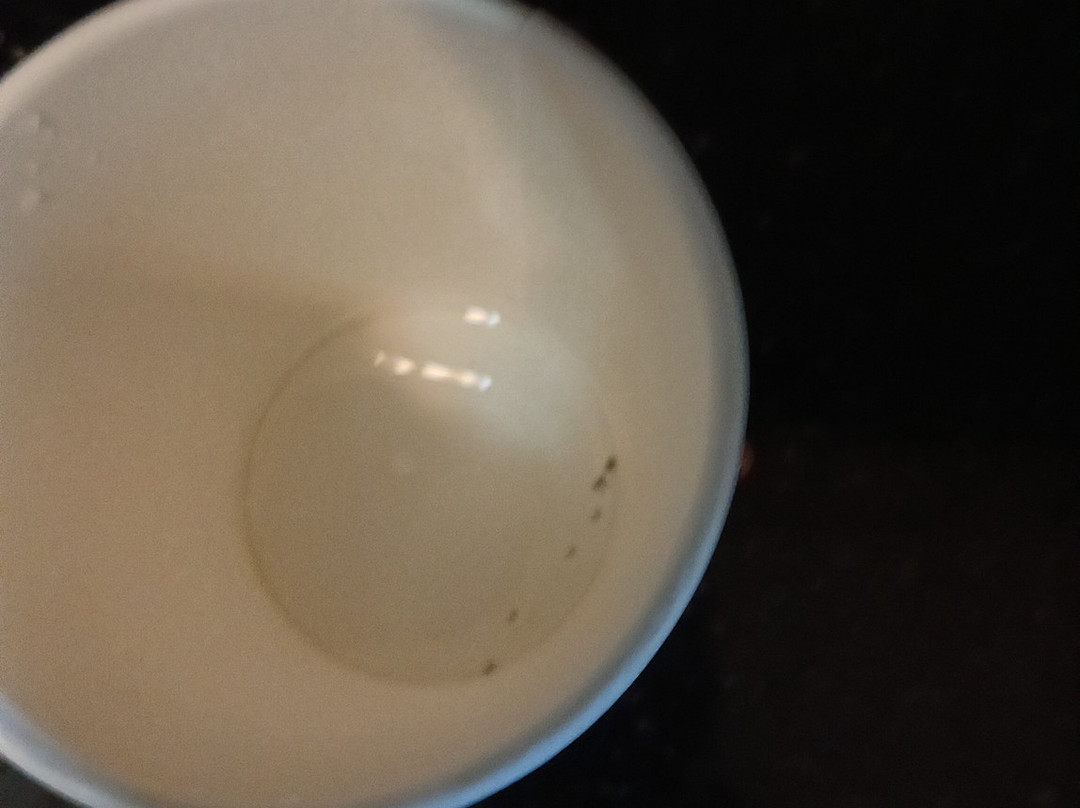 加尔维斯顿舒适套房酒店主图