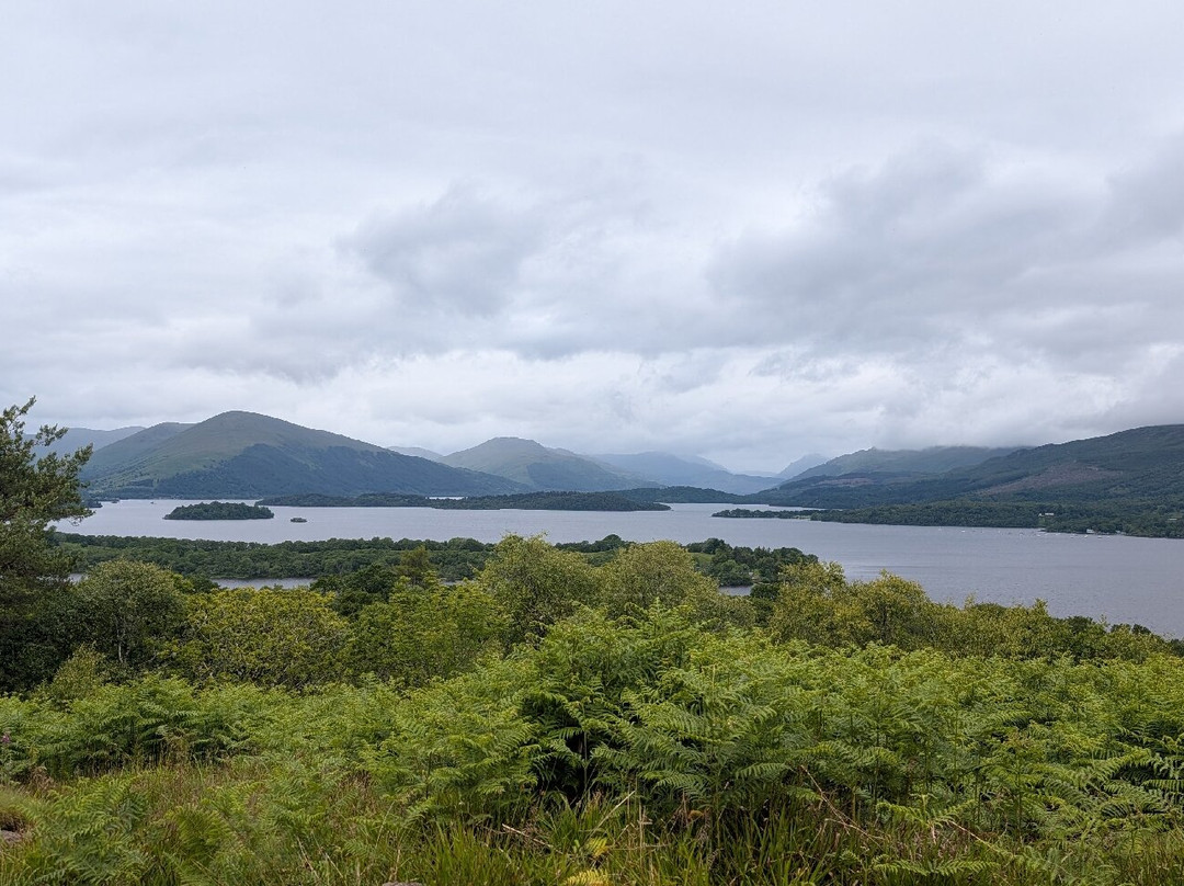 Inchcailloch景点图片